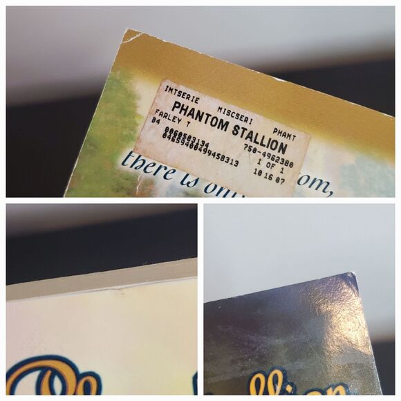 Phantom Stallion Book Lot Of 3 (1, 3, 12) By Terri Farley Paperback Avon - Picture 10 of 13